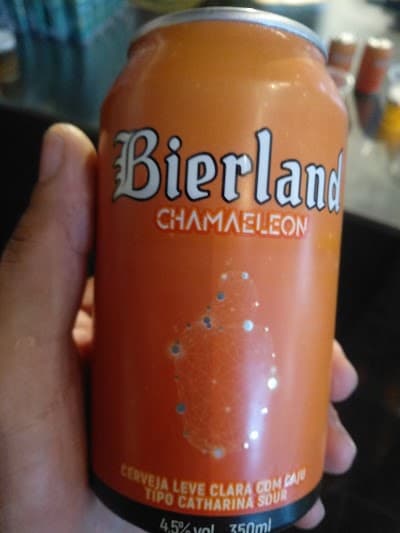 Cervejaria Bierland - Foto 7