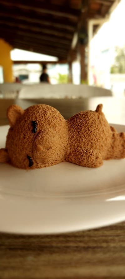 Sabores da Serra Agrolândia - Foto 6