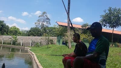 bairro pavimentaçao - Foto 4