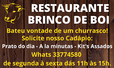 Brinco de Boi - Foto 3