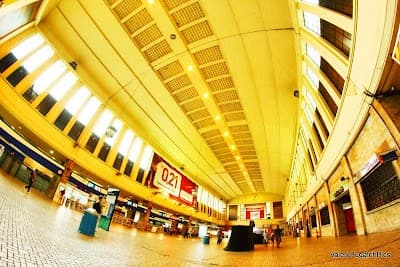 O Reizinho - Foto 6