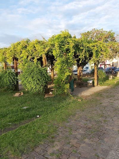 Boteco da Matriz - Foto 10
