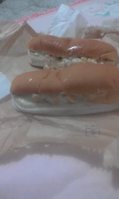 Dinho Dog - Foto 10